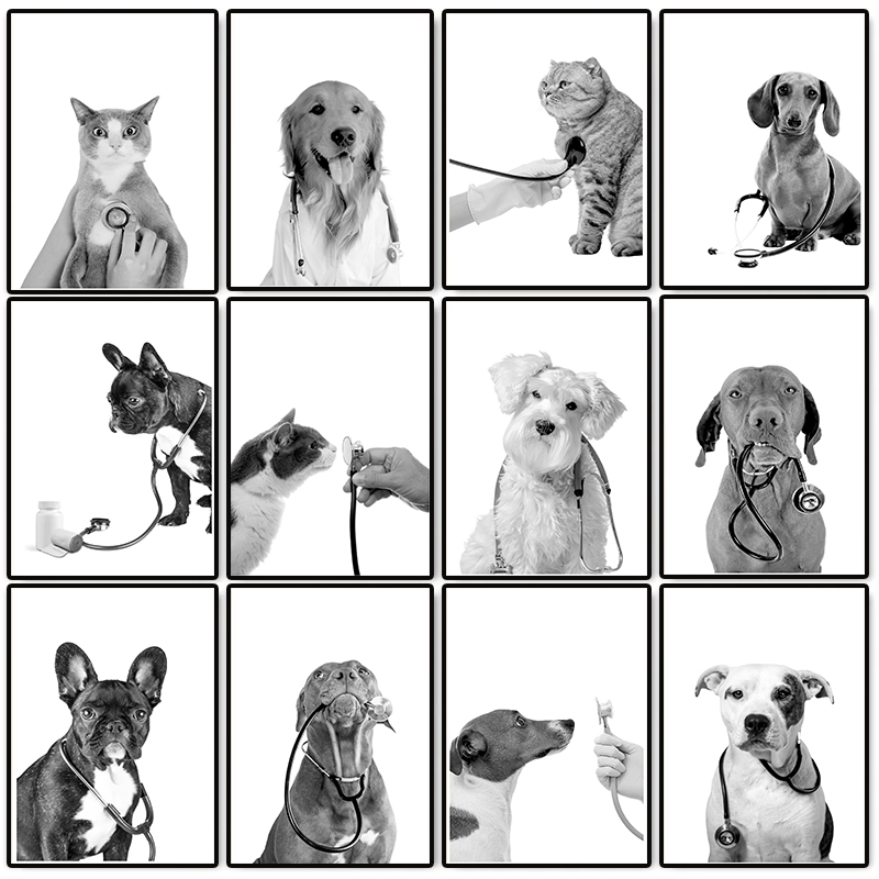 Dierenarts Dierenkliniek Poste - Stethoscope recensie en prijs